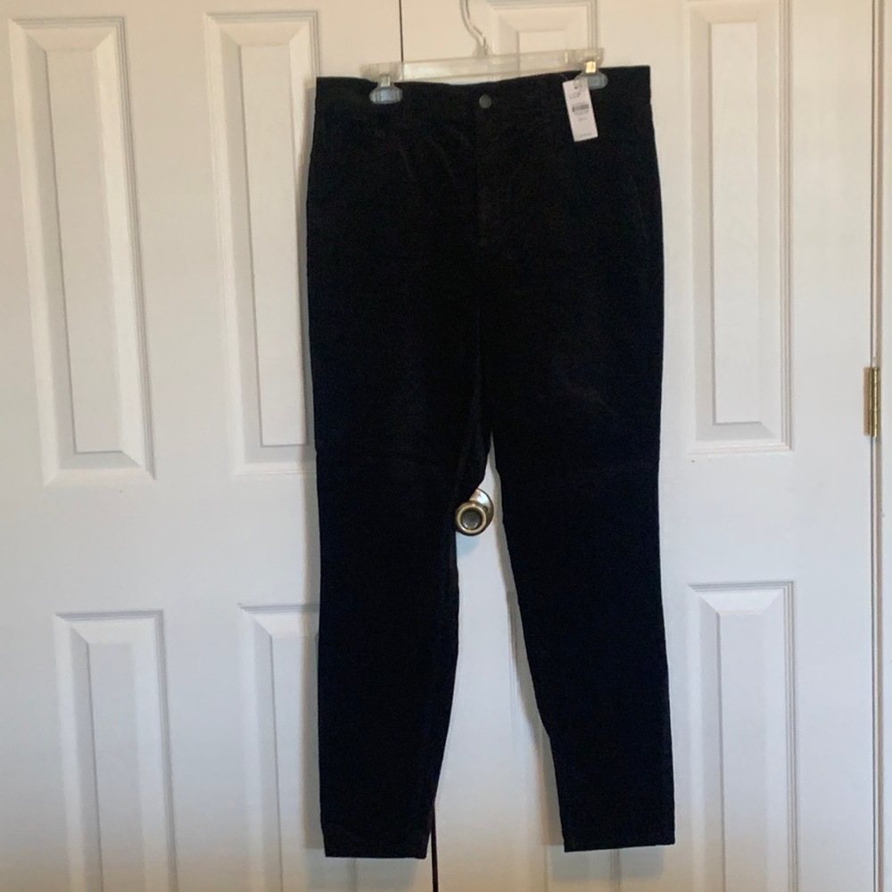Ann Taylor Loft Pants